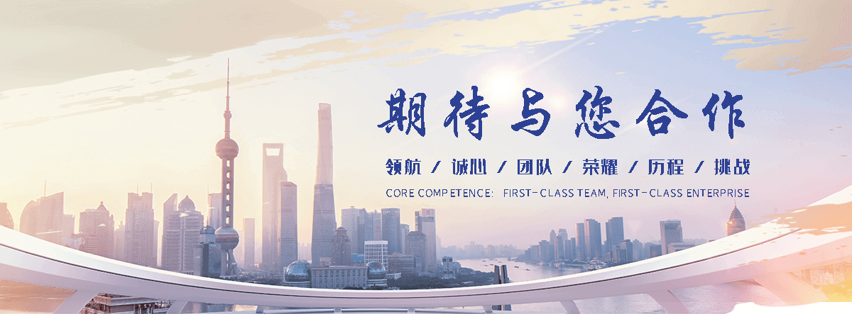 肃宁网站S.E.O排名
